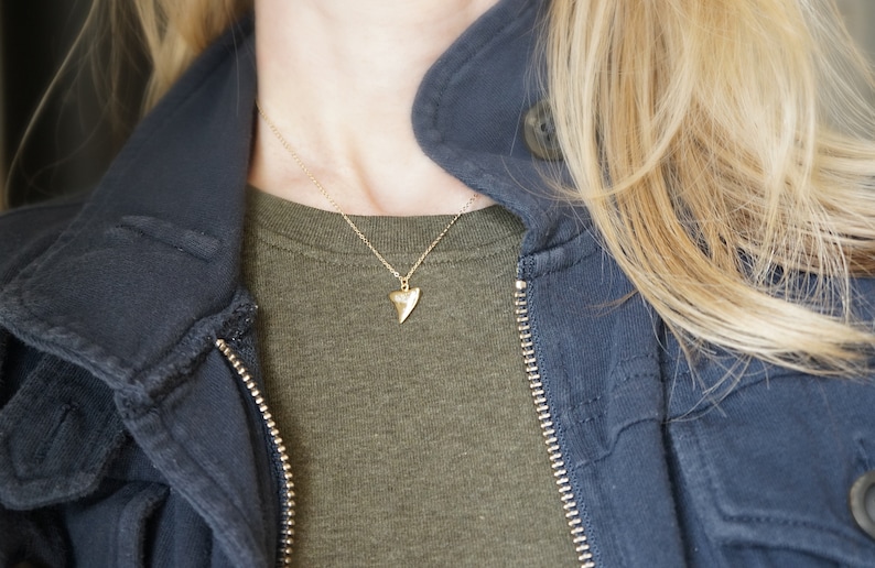 Gold Shark Tooth Necklace // Small Sharks Tooth Pendant on a 14k Gold Filled Chain Good Luck Charm Necklace Amulet Necklace image 7