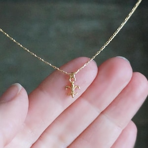 May include: A delicate gold-colored necklace featuring a small fleur-de-lis pendant. The pendant is suspended from a thin, twisted chain. The necklace is held in a hand, showcasing the jewelry's fine details and craftsmanship.