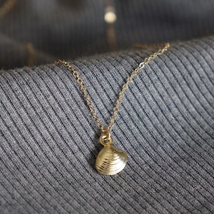 May include: A gold-colored necklace with a seashell pendant. The pendant is a detailed, textured clam shell. The necklace chain is delicate and hangs on a gray fabric background.