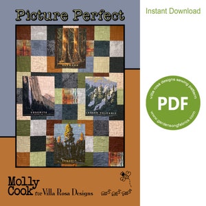 Pattern &quot;Picture Perfect&quot; PDF Panel Quilt Pattern by Villa Rosa Designs - Instant Download