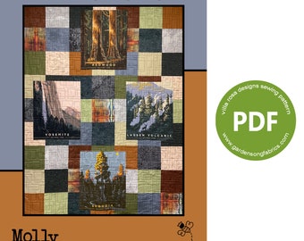 Pattern "Picture Perfect" PDF Panel Quilt Pattern by Villa Rosa Designs - Instant Download