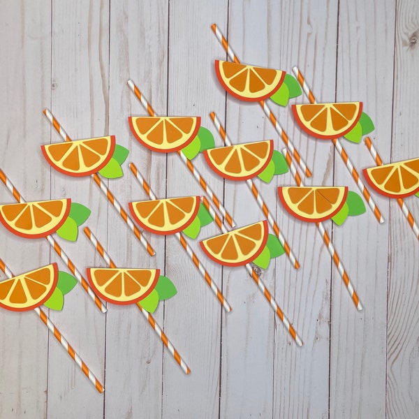 Orange Paper Straws Etsy