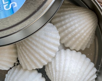 Weiße Muscheln Zuckerwürfel für eine Ocean Beach Themed Tasse Kaffee Ideal für AirBNB VRBO Hosting Geschenk Hochzeit Coffee Bar Hotel