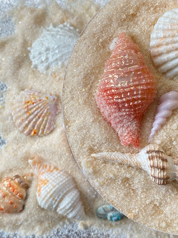 Hard Candy Edible Sugar Shells - Very detailed - Cupcake or Cake Topper Beach Wedding decorations Il_570xn