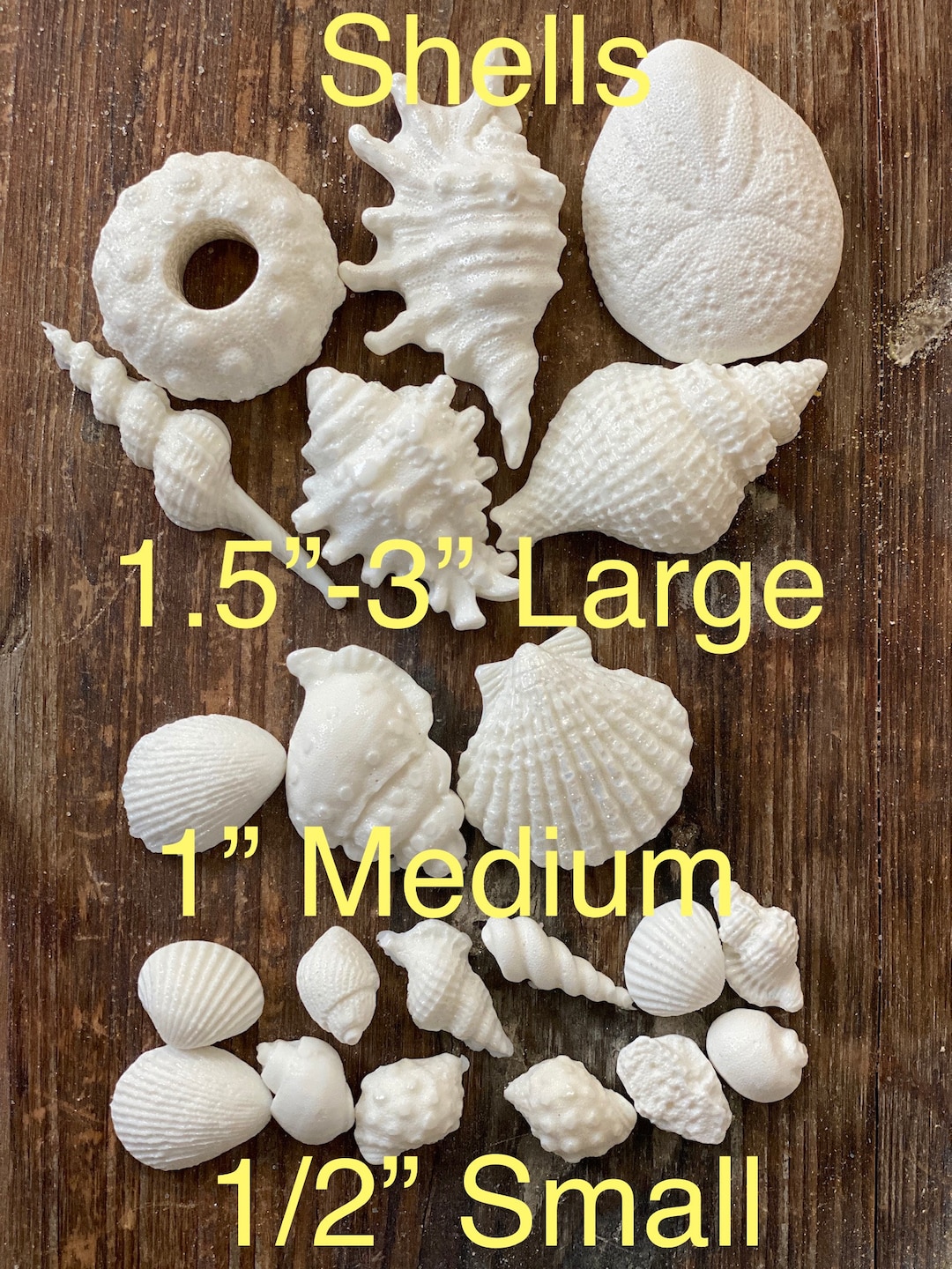 Hard Candy Edible Sugar Shells - Very Detailed - Cupcake or Cake Topper ...