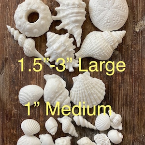 Hard Candy Edible Sugar Shells - Very detailed - Cupcake or Cake Topper Beach Wedding decorations