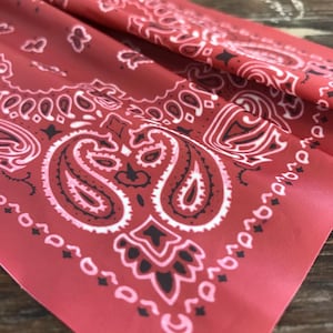 Custom Edible Bandana Cake Topper – Flexible Frosting Sheet, Western Party Cake Decor, Custom Printed Edible Image, Cowboy Theme