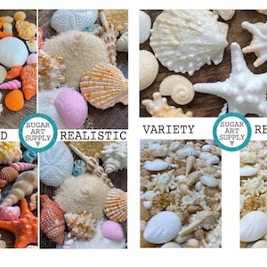 Hard Candy Edible Sugar Shells - Very Detailed - Cupcake or Cake Topper ...