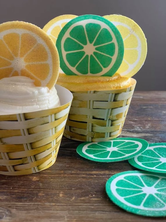 Citrus Lemon Lime Orange Wafer Paper Slices Il_570xn