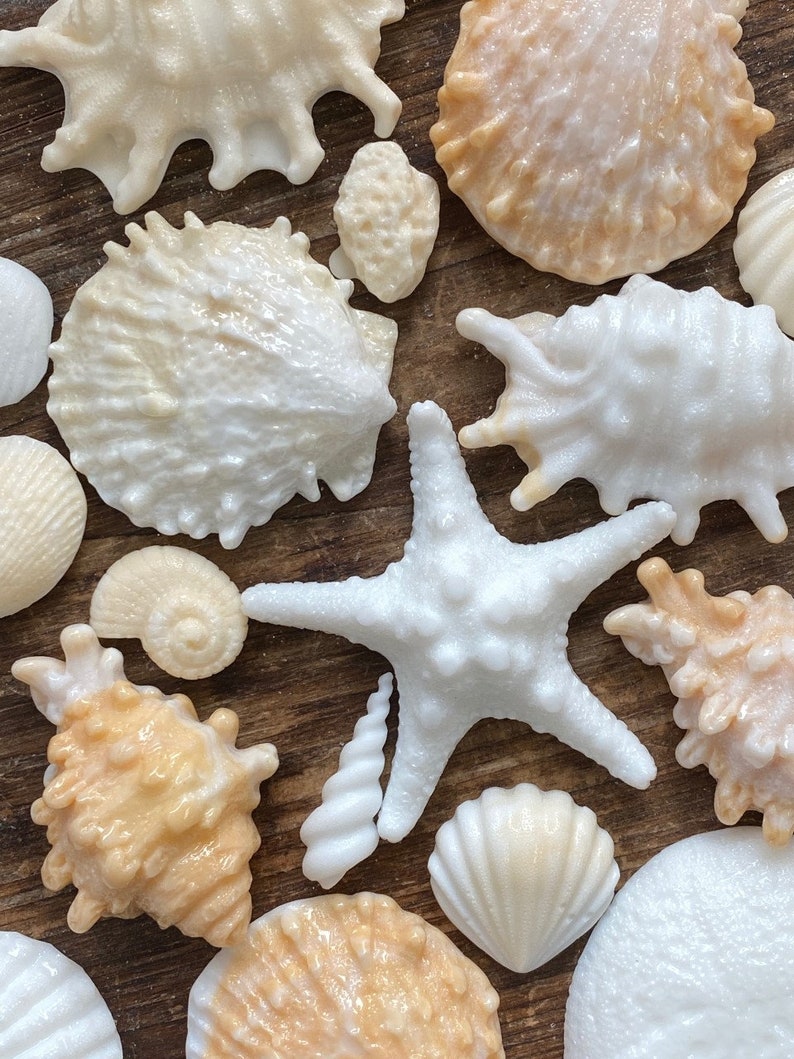 Hard Candy Edible Sugar Shells Very Detailed Cupcake or - Etsy