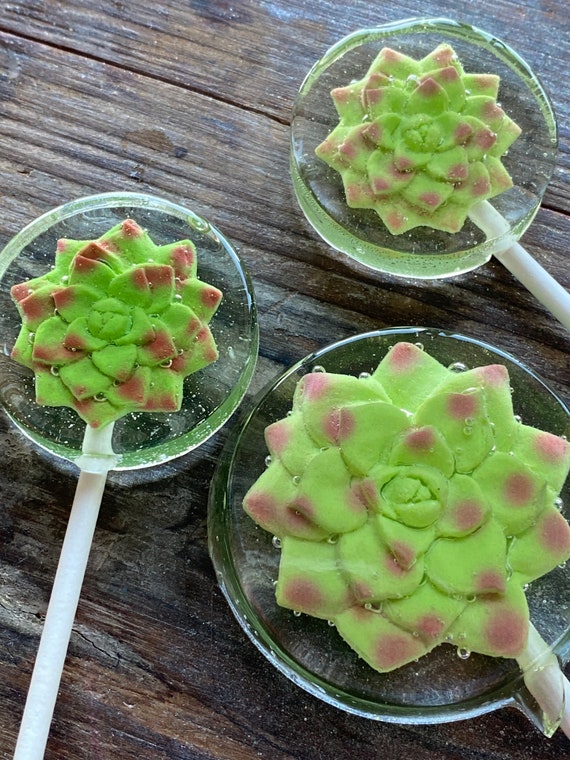 12 Cactus Shaped Lollipops - Fiesta Party Favors For Cinco De Mayo & Mexican Themes