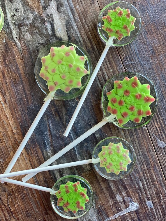 12 Cactus Shaped Lollipops - Fiesta Party Favors For Cinco De Mayo & Mexican Themes