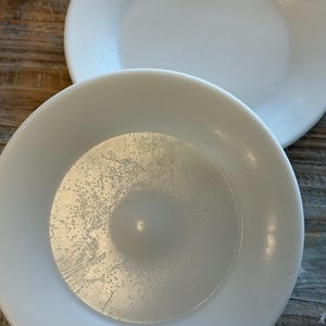 May include: Two white ceramic plates with a slightly textured surface. The plates are round with a shallow bowl shape. The plates are on a wooden surface.