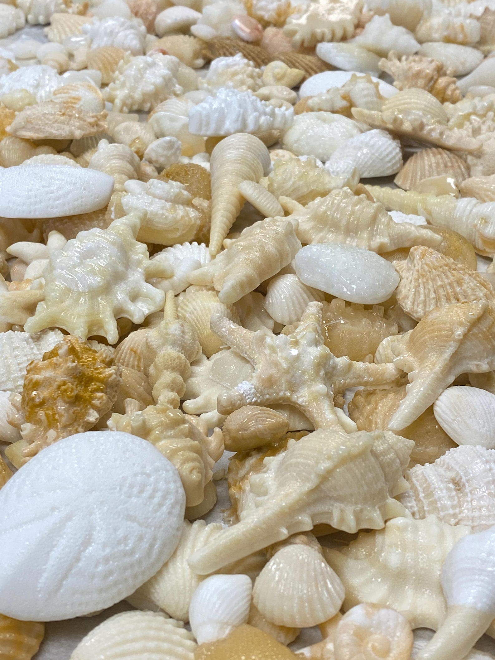 Beach Wedding Cake Shell Decorating Kit – Edible Seashells and Sand for ...