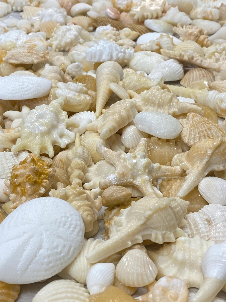 Shell Docrations Beach Wedding Cake Shell Decorating Kit – Edible Seashells and Sand for ...
