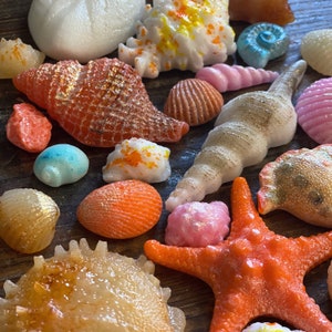 Hard Candy Edible Sugar Shells - Mermaid Mix - Very detailed - Cupcake or Cake Topper Beach Wedding decorations