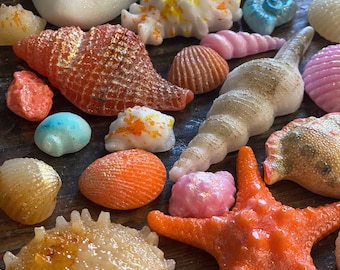 Hard Candy Edible Sugar Shells - Mermaid Mix - Very detailed - Cupcake or Cake Topper Beach Wedding decorations