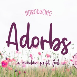 Font: Adorbs, a monoline script font