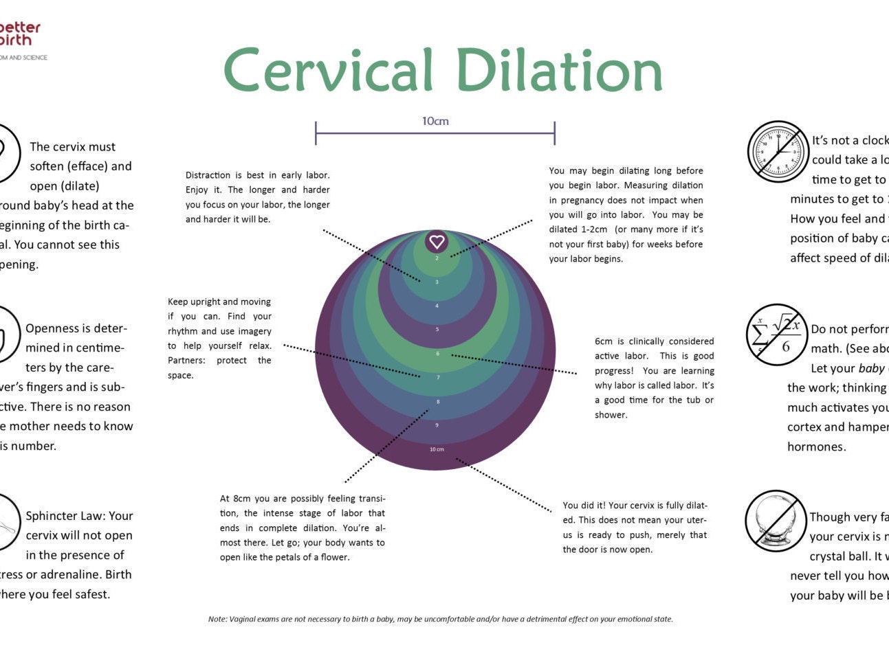Cervix Poster Labor and Birth Dilation11x17 Printable for Midwives Etsy