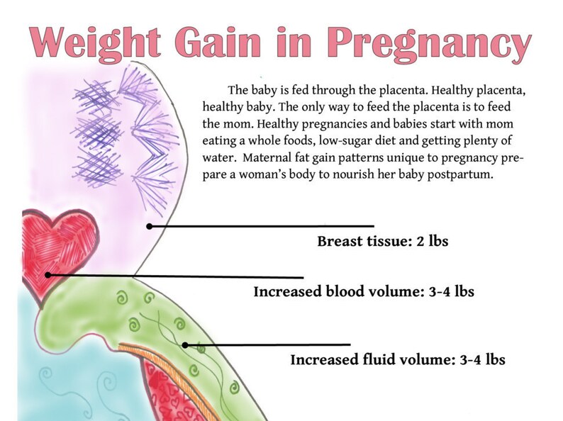 Pregnancy Weight Gainposter, Printable for Childbirth Education Etsy