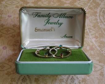 Vintage 1970s ANSON Family Album Jewelry Pin Brooch
