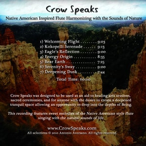 Crow Speaks ~ Native American Inspired Flute Music for Sound Healing - Etsy