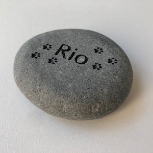 May include: A gray stone with the name "Rio" engraved on it, surrounded by paw prints.