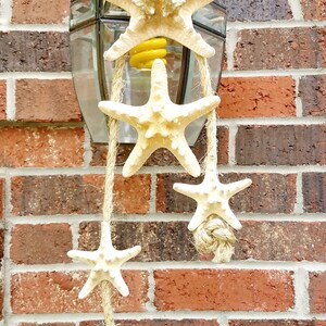 Natural Starfish Hanging Wall Rope Garland Swag Door Window Curtain Decoration Wreath Coastal Ocean Net Knot Beach Decor Photo Prop Duo Combo