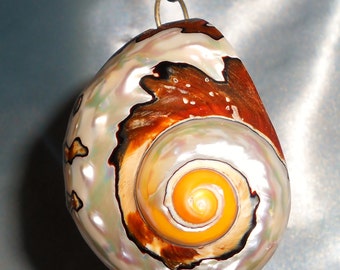 Large Seashell Ceiling Fan Light Pull Chain Beach Ornament Coastal Nautical Lover Gift curtain window tie back mobile