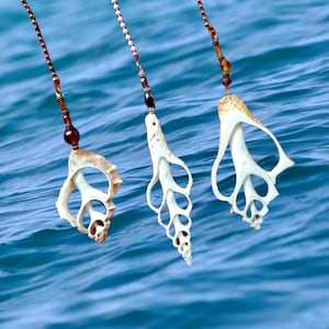 May include: Three white seashells hanging from brown cords with brown beads. The seashells are all different shapes and sizes, and they are hanging against a blue water background.