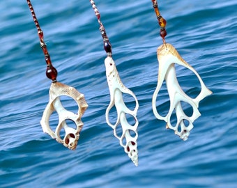 CENTER CUT Sliced Seashell Fan Light Pull Chain Beach Coastal Decor Ornament Window Charm Keychain Car Charm