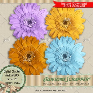 Mums Digital Clip Art by AwesomeScrapper - Hochwertig, 300 DPI PNGs, 28er Set, Hochwertig, 300 DPI PNGs, Chrysanthemen, Blumen