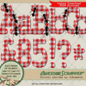 May include: Red and white gingham alphabet letters and numbers with black ants crawling on them. The letters are A, B, D, and the numbers are 8, 5, and 1. There is also a question mark and an asterisk. The letters and numbers are 300 DPI PNG files.
