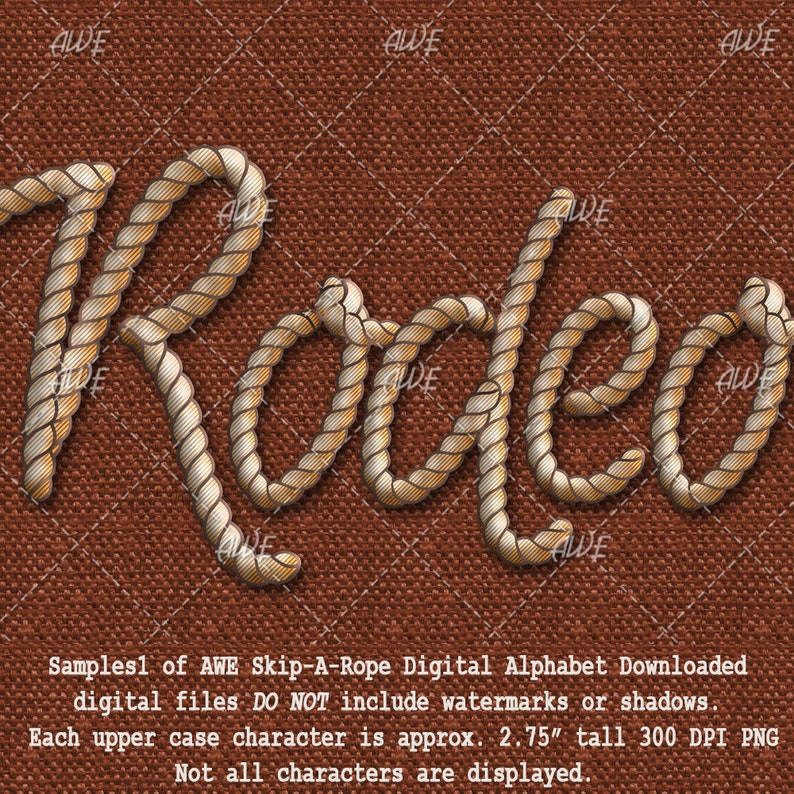 May include: The word "Rodeo" is spelled out in a rope font. The rope is a light brown color with a gold sheen. The background is a brown burlap texture.