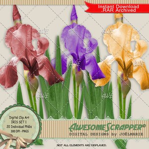Iris Set 1 Digital Clip Art por AwesomeScrapper - alta qualidade, 300 DPI PNGs, conjunto de 16 íris, 4 aglomerados de folhas, cores variadas, primavera, floral