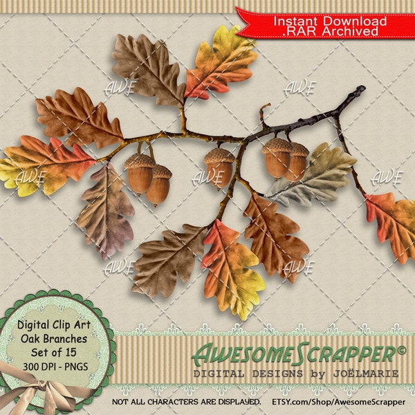 Oak Branches Digital Clip Art by AwesomeScrapper - High Quality, 300 DPI PNGs, Set of 15, Branches, Leaves, Oak, Fall, Autumn, Acorns
