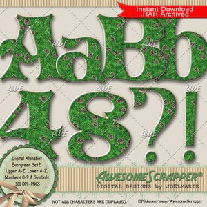 Evergreen Set 2 Digital Alphabet par AwesomeScrapper - Haute qualité, PNG 300 DPI, Vert, Pommes de pin, Aiguilles de pin, Conifère, Motifs