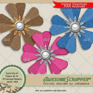 Conjunto de flores 36 clipart digital por AwesomeScrapper - alta qualidade, 300 DPI PNGs., Conjunto de 44 PNGs., Duas texturas, brilho, joias, flores