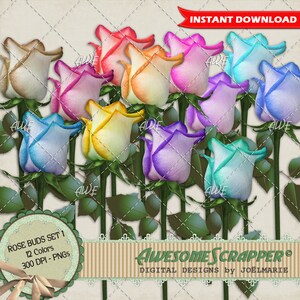 May include: A set of 12 digital images of rose buds in various colors, including white, pink, yellow, orange, blue, purple, and green. The images are high resolution and perfect for scrapbooking, card making, and other crafting projects.