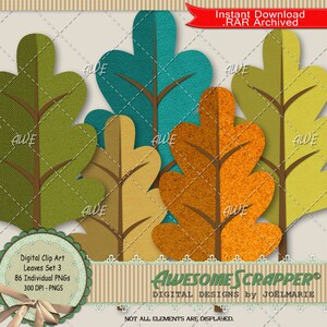 Leaves Set3 Clip Art digital por AwesomeScrapper - alta qualidade, PNGs de 300 DPI, folhas de carvalho, conjunto de 82, várias cores, várias texturas