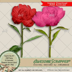 Peony Digital Clip Art por AwesomeScrapper - alta qualidade, 300 DPI PNGs, conjunto de 33, várias cores, floral, primavera, jardim, flores, plantas