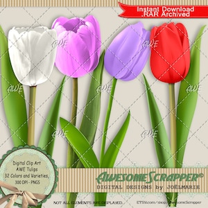 Tulips Digital Clip Art by AwesomeScrapper - High Quality, 300 DPI PNGs, Set of 32, Floral, Flowers, Spring, Easter, Tulips, Various Colors