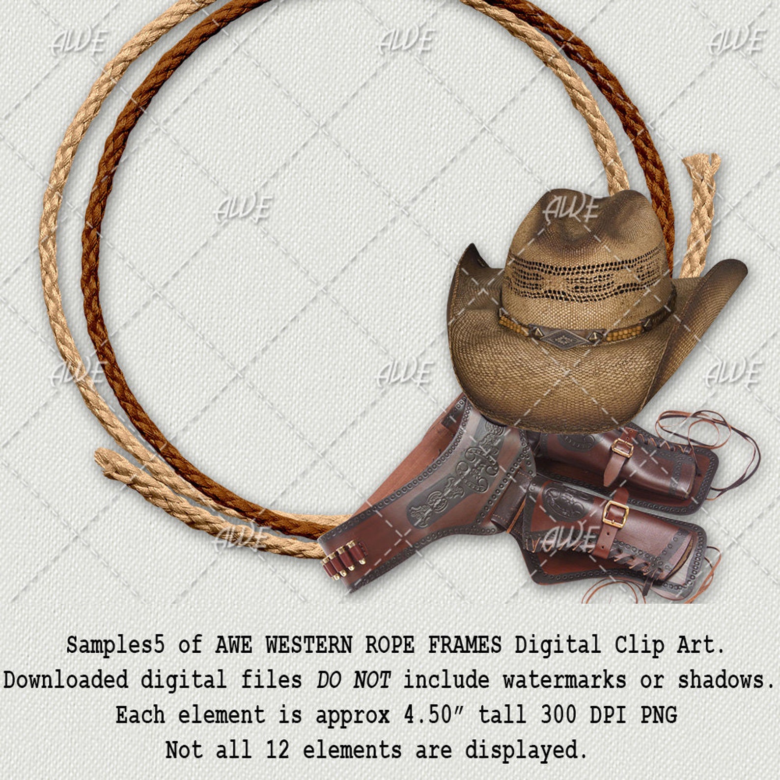 Western Rope Frames Digital Clip Art by Awesomescrapper - Set of 12 ...