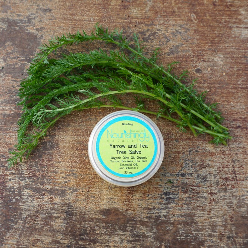Yarrow Salve, Yarrow Herbal Salve, Tea Tree Oil Salve, Natural First Aid Balm, Herbal Salve, Yarrow, Herbal Remedy image 4