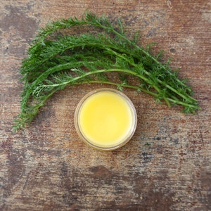 Yarrow Salve, Yarrow Herbal Salve, Tea Tree Oil Salve, Natural First Aid Balm, Herbal Salve, Yarrow, Herbal Remedy image 1