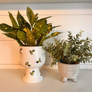 Puede incluir: Dos macetas decorativas con vegetación. La maceta blanca más grande presenta una base de pedestal y está adornada con ilustraciones de abejas negras y amarillas. La segunda maceta es una maceta pequeña, texturizada, de color blanquecino con tres patas pequeñas.