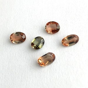 May include: Five oval-shaped gemstones in shades of brown, green, and orange. The gemstones are arranged in a loose cluster on a white background.