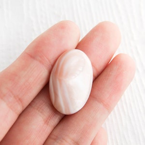 Large Tennessee Pink Mussel Shell Cabochon, 25x18mm, Tennessee River Pink Mussel Shell Oval Cabochon, 1 Piece
