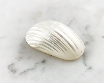 Large White Nautilus Pearl Cabochon, Large Striped White Osmena Pearl Shell Cabochon, X - Large White Pearl Shell, White Mabe Pearl, 45x25mm