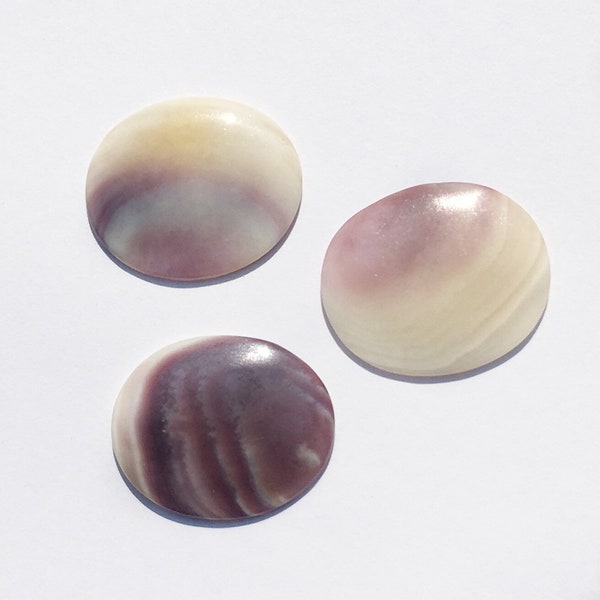 Oval 23-25mm Natural Wampum Cabochons